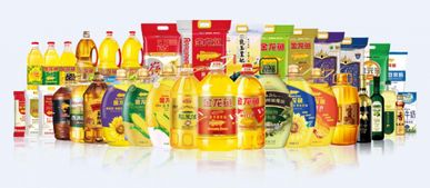 益海嘉里金龍魚亮相2018深圳網絡盛典，榮膺年度最受網民歡迎餐飲品牌